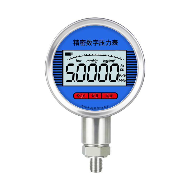 精密數(shù)字壓力表